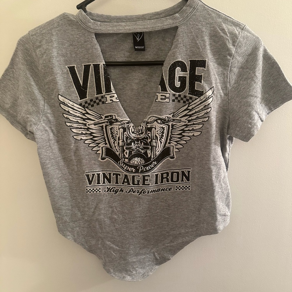Windsor Gray Graphic V-Neck Crop Top